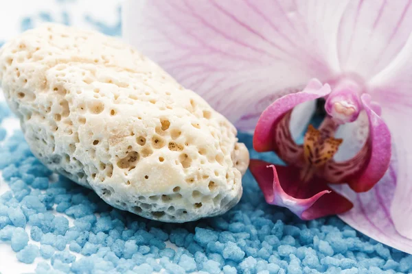Pedra de coral branco — Fotografia de Stock