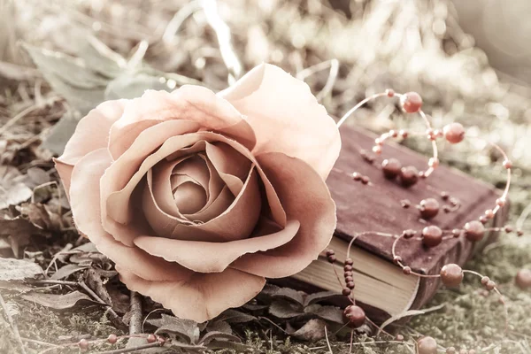 Книга и роза — стоковое фото