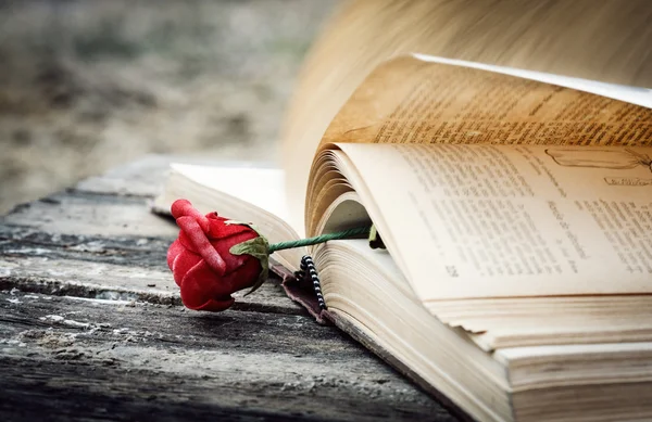 Kniha a růže — Stock fotografie