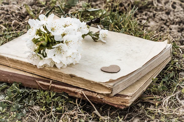 Book and twig with cherry blossoms — Stock Photo, Image