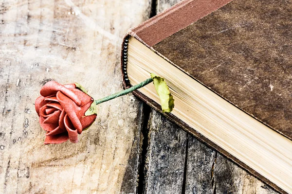 Kniha a růže — Stock fotografie
