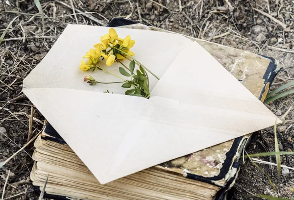 Envelope with flower — Stock Photo, Image