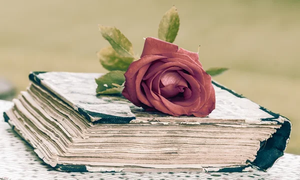 Book and rose — Stock Photo, Image