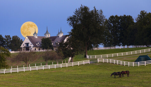 Moonrise at a horse farm