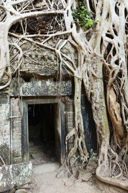 Ta Prohm