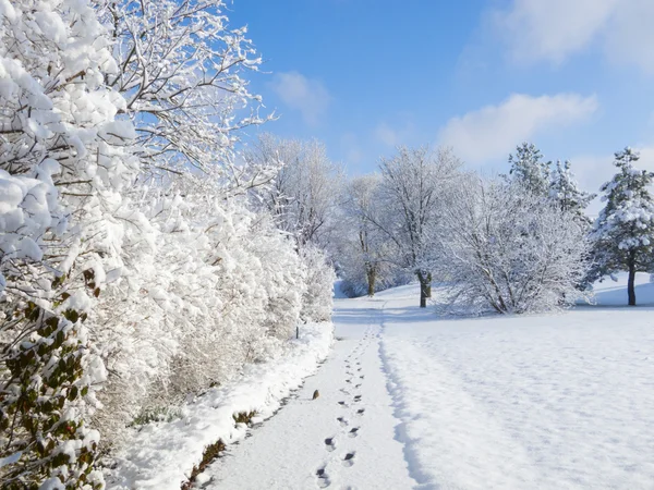 Passarela nevada — Fotografia de Stock