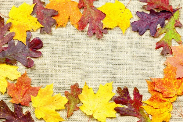 Fall background — Stock Photo © alexeys #15636549
