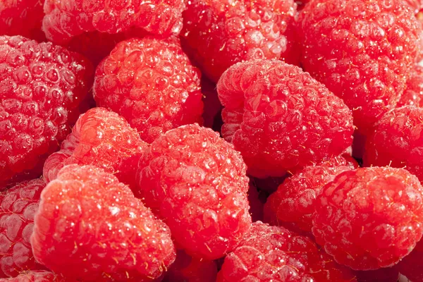 Himbeeren — Stockfoto