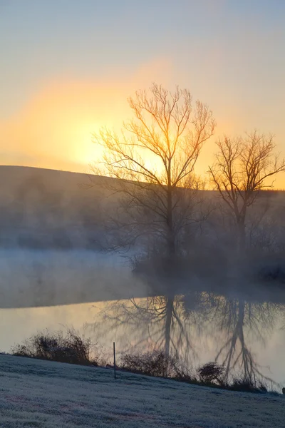 Mistige zonsopgang — Stockfoto