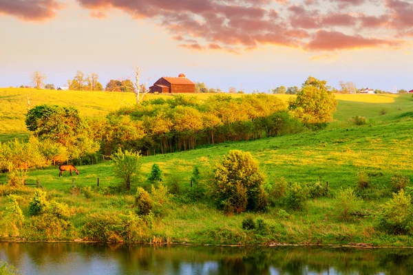 Boerderij landschap — Stockfoto