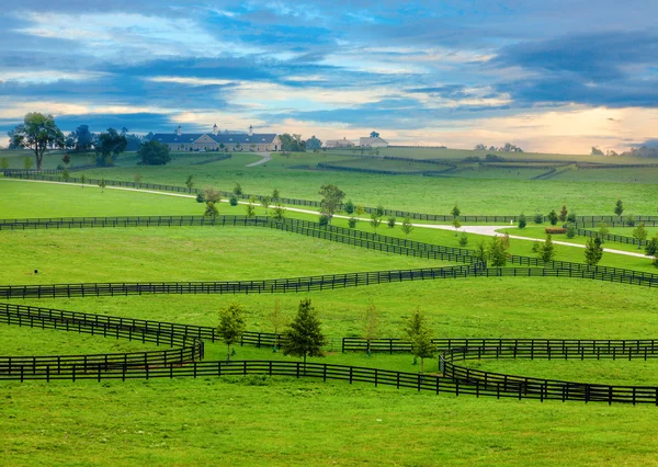 Pferdeland — Stockfoto