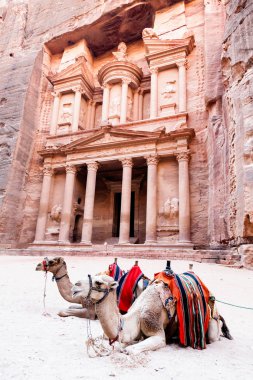 Develer Petra