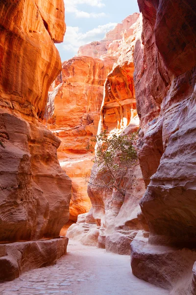 Al Siq — Stok fotoğraf