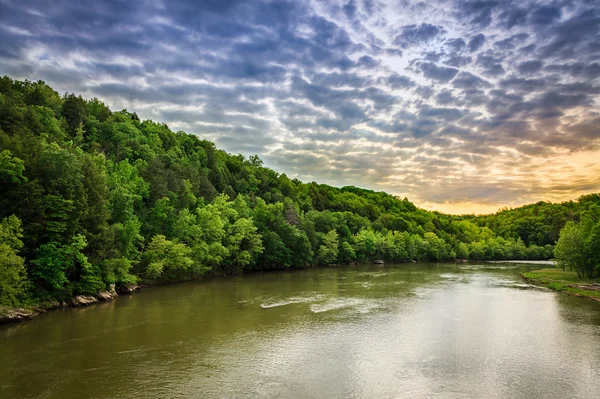 Cumberland Nehri — Stok fotoğraf