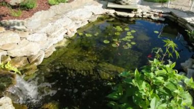 Koi Pond