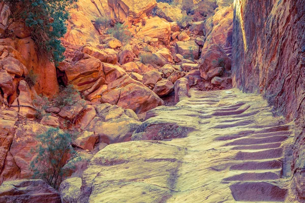 Hiking trail in Petra — Stock Photo, Image