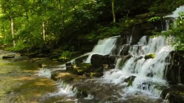 Orman creek ve şelale