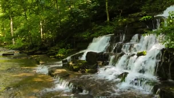 Ruisseau forestier et cascade — Video