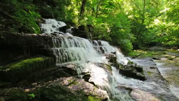 Forest creek and waterfall — Stock Video