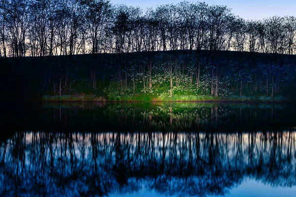 湖の岸 — ストック写真