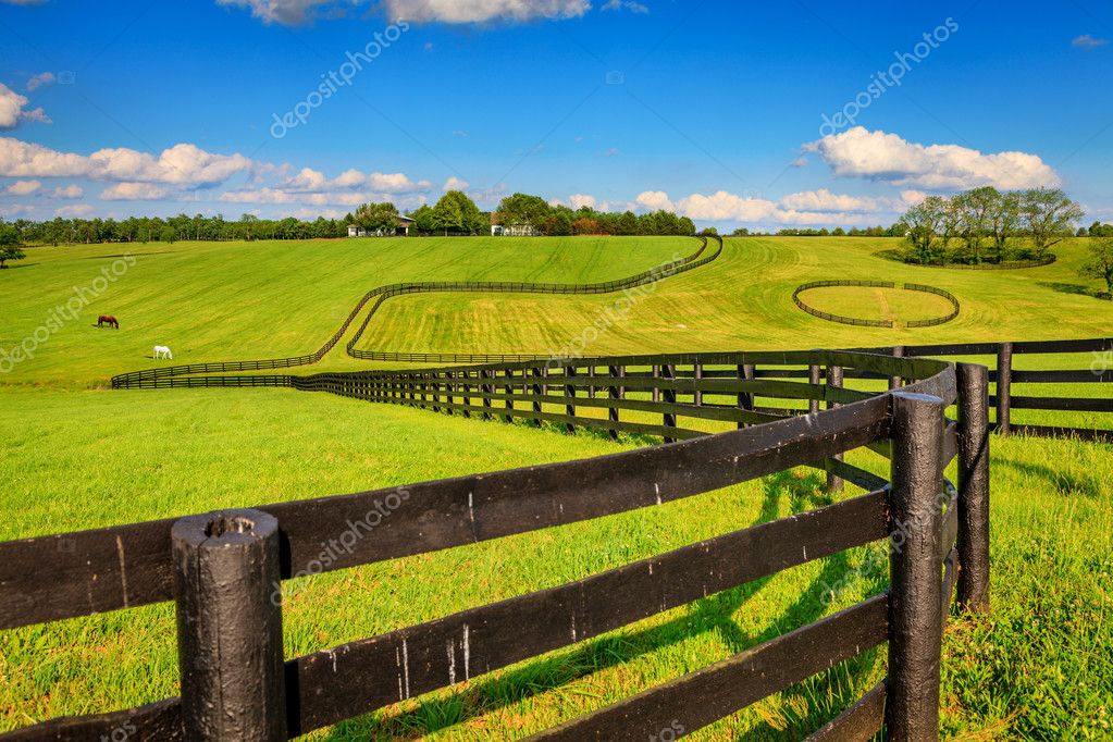 Horse farm fences Stock Photo by ©alexeys 29914675