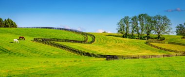 Horse farm fences clipart