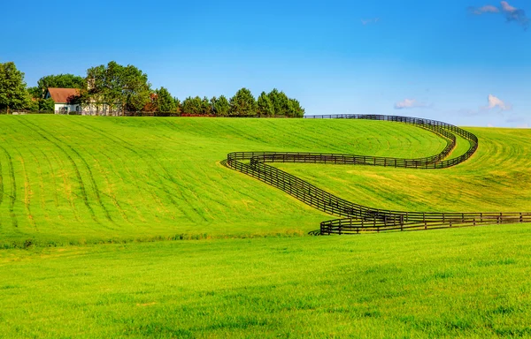 Häst gård staket — Stockfoto