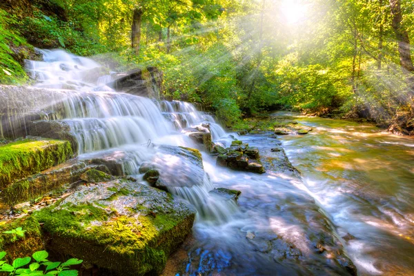 Flusso forestale e cascata — Foto Stock