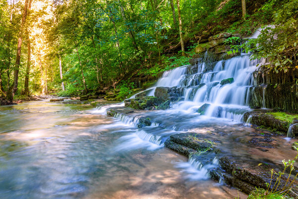 Forest stream and waterfall