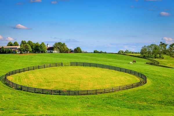 Cercas de fazenda de cavalos — Fotografia de Stock