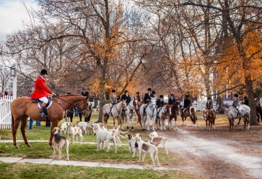 lütuf hounds