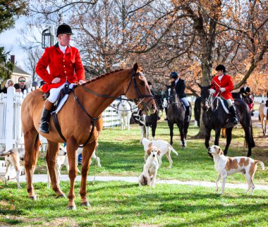 lütuf hounds