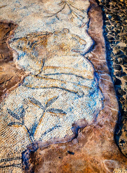 Piso de mosaico — Foto de Stock