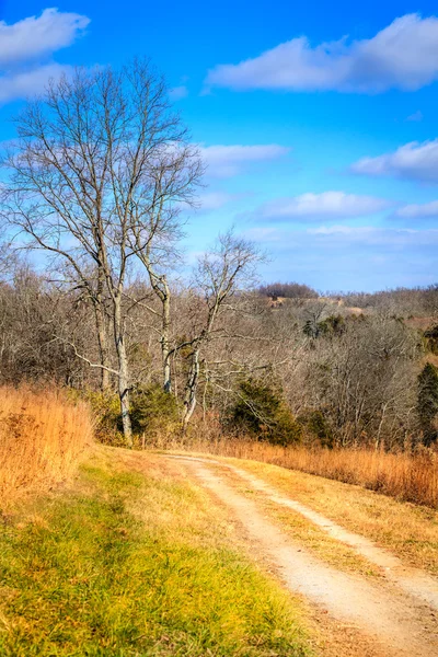 Strada di campagna — Foto Stock