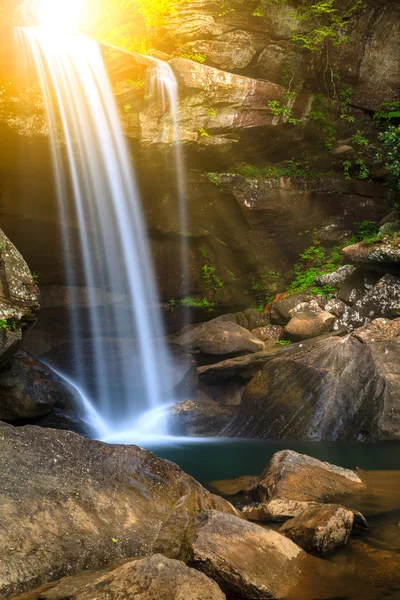 Eagle faller — Stockfoto