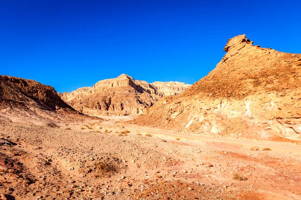 Paysage désertique — Photo