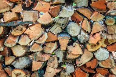 Yakacak odun yığını