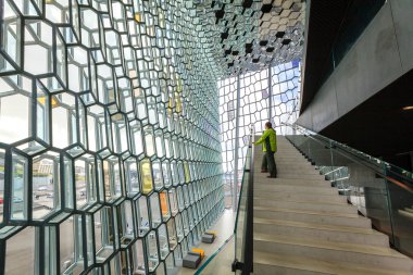 Harpa iç