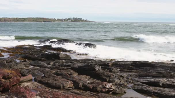 Naturskön Utsikt Över Kusten Vid Crescent Beach State Park Cape — Stockvideo