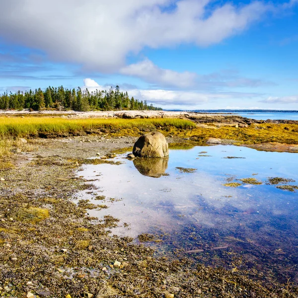 Maine Deki Acadia Ulusal Parkı Nın Atlantik Kıyısında Gelgit Var — Stok fotoğraf