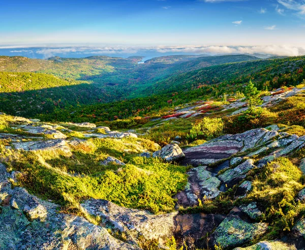 Vista Panoramica Del Parco Nazionale Dell Acadia Della Costa Atlantica — Foto Stock