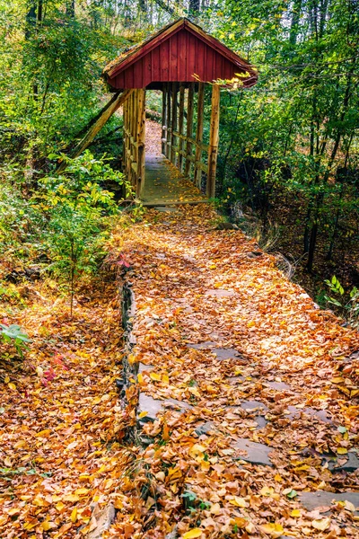 Passerelle Couverte Sur Sentier Randonnée Dans Parc National Château Gillette — Photo