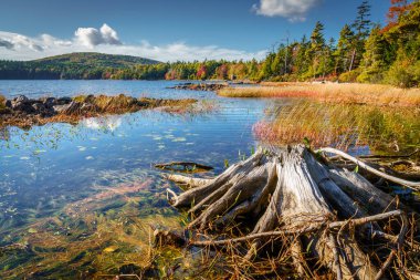 Sonbaharda Acadia Ulusal Parkı 'ndaki Kartal Gölü manzarası