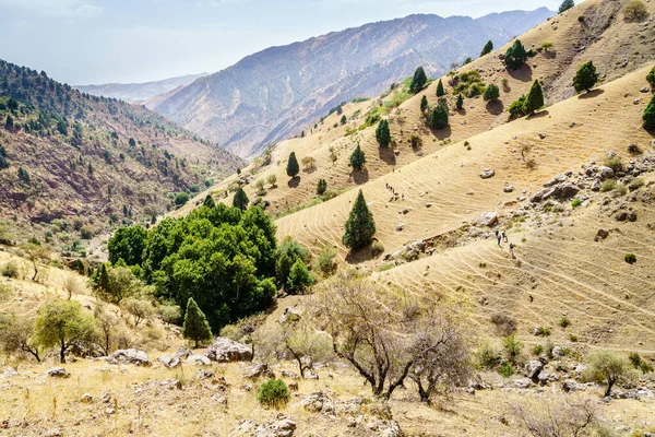 Tacikistan Daki Shirkent Milli Parkı Nda Bir Grup Turist Yolda — Stok fotoğraf