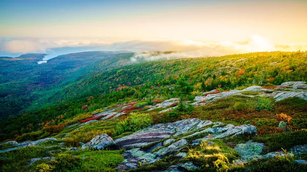 Cadillac Dağı Nın Tepesinden Acadia Ulusal Parkı Nda Deniz Vadilerden — Stok fotoğraf