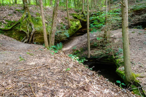 Rock Formations Trees Top Yahoo Arch Southern Kentucky — Stock Photo, Image