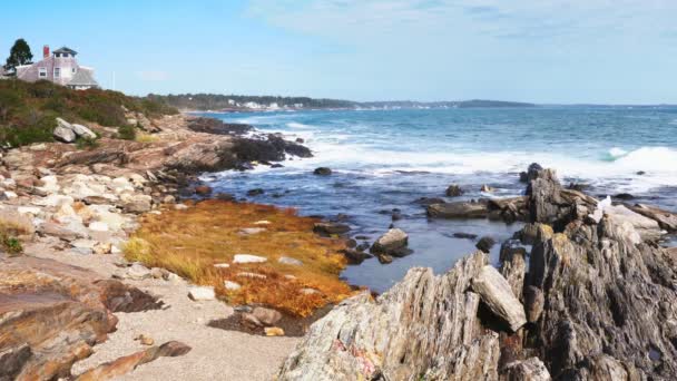 Scenic Kilátás Sziklás Partvonal Maine — Stock videók