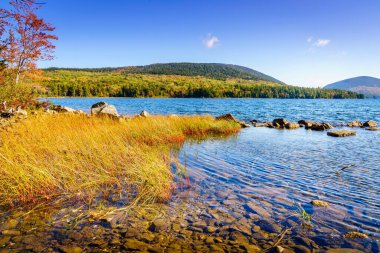 Sonbaharda Acadia Ulusal Parkı 'ndaki Kartal Gölü manzarası