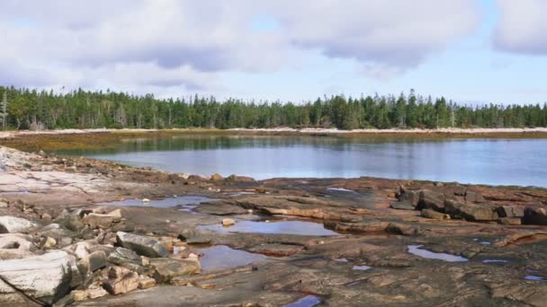 Maine Deki Acadia Ulusal Parkı Ndaki Rocky Sahili — Stok video