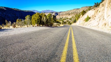 Bandelier Ulusal Anıtı, New Mexico 'daki Frijoles Kanyonu' ndan geçen yol.